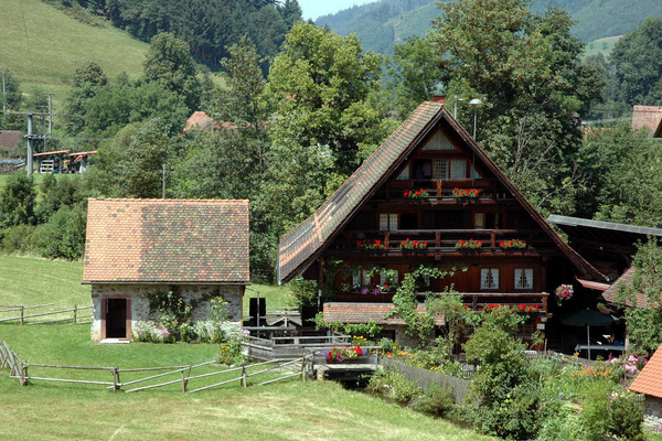 Die Simonswlder Mhle an der Wilden Gutach  Horst Dauenhauer, Simonswald