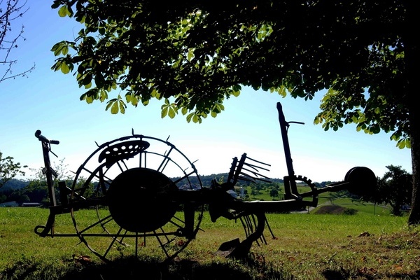 Landwirtschaftliche Arbeit im 20. Jahrhundert  Heimatverein Freiamt e. V.